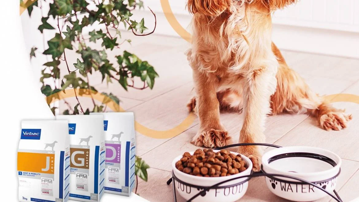 Koks sausas šunų maistas geriausias?