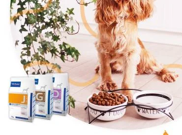 Koks sausas šunų maistas geriausias?