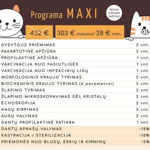 Sveikatos paslaugų programa MAXI jūsų katei