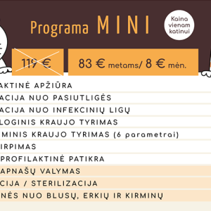 Sveikatos paslaugų programa MINI jūsų katei